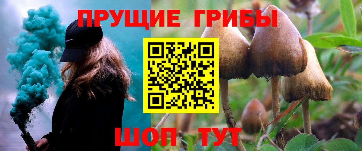 Приморско-Ахтарск  Галлюциногенные грибы мухоморы  Галлюциногенные грибы Magic Shrooms  Вход с VPN 
